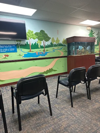 Adventure Dental and Orthodontics