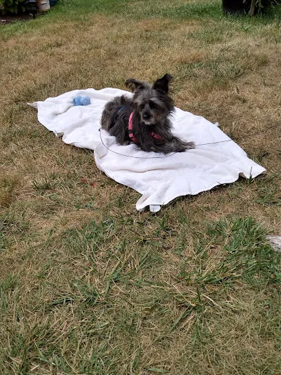 Cranston Dental Associates | Dentist in Cranston RI | DMD