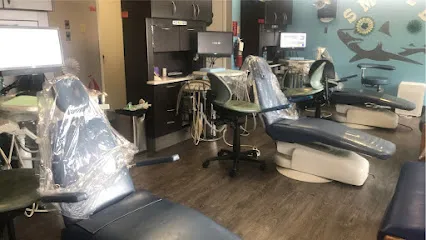Dr. Stephen M. Cito Jr, DDS