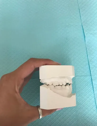 Dr. Thomas H. Seal, DDS