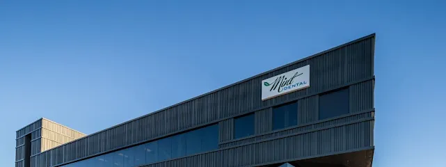 Mint Dental